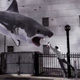 Illustration for article titled Labor strike halts production on iSharknado 3/i